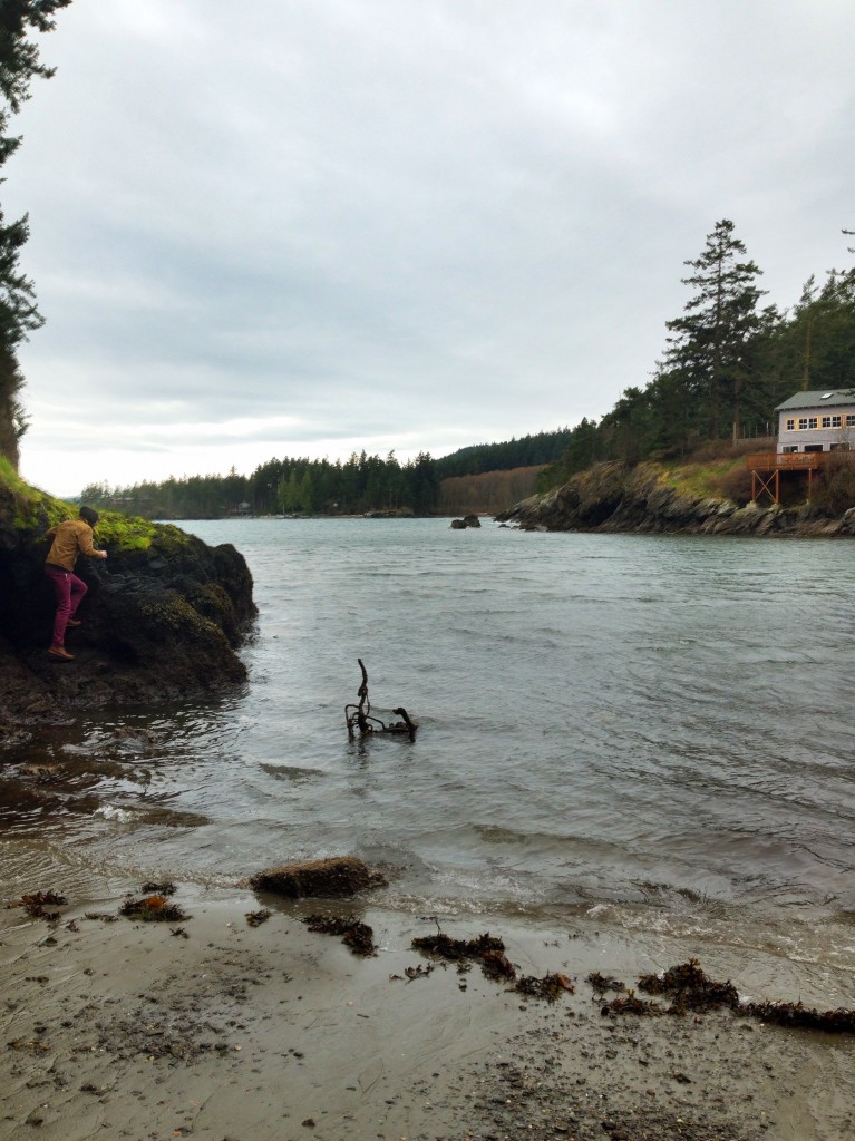 The beach at Doe Bay