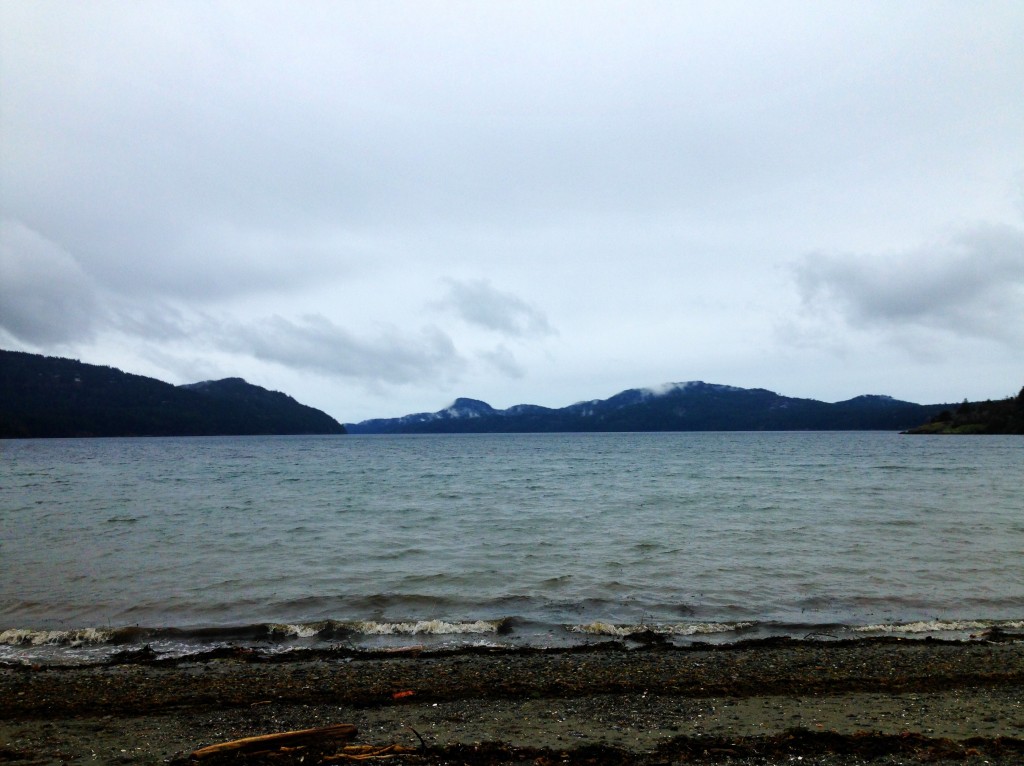 The shore near Eastsound, WA